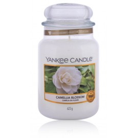 Yankee Candle Camellia Blossom ароматическая свеча