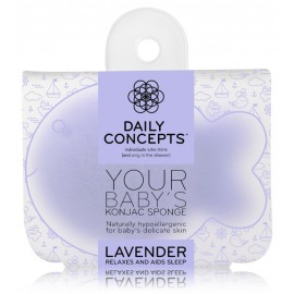 Daily Concepts Baby's Lavender Konjac Sponge детская губка