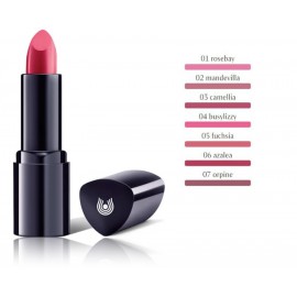 Dr. Hauschka Lipstick huulepulk