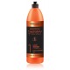 Prosalon Protein Therapy + Keratin Complex Rebuild Shampoo taastav šampoon