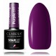 Claresa Soak Off UV/LED Color Purple стойкий гибридный лак для ногтей