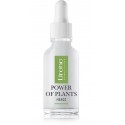 Lirene Power Of Plants Mango Illuminating Face Serum valgustav näoseerum