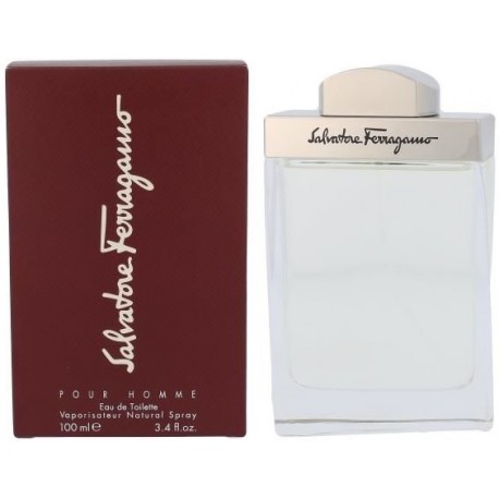 Salvatore Ferragamo Pour Homme 100 ml EDT meestele